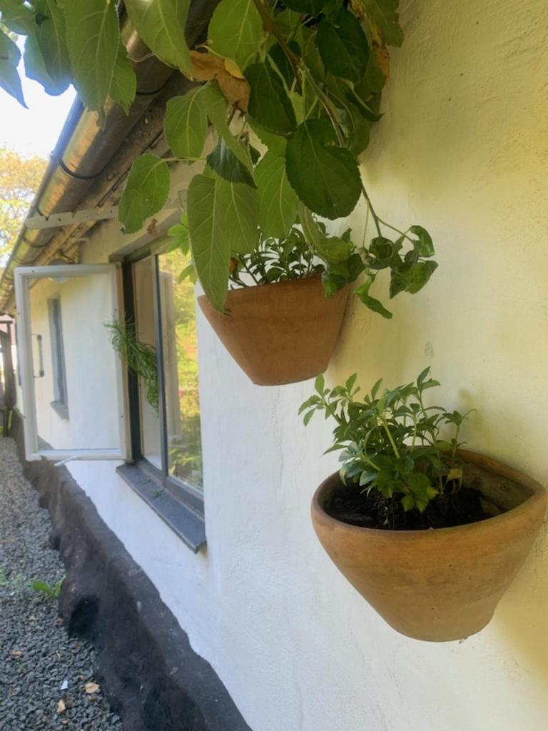 Millans Dockhus Villa Onslunda Esterno foto